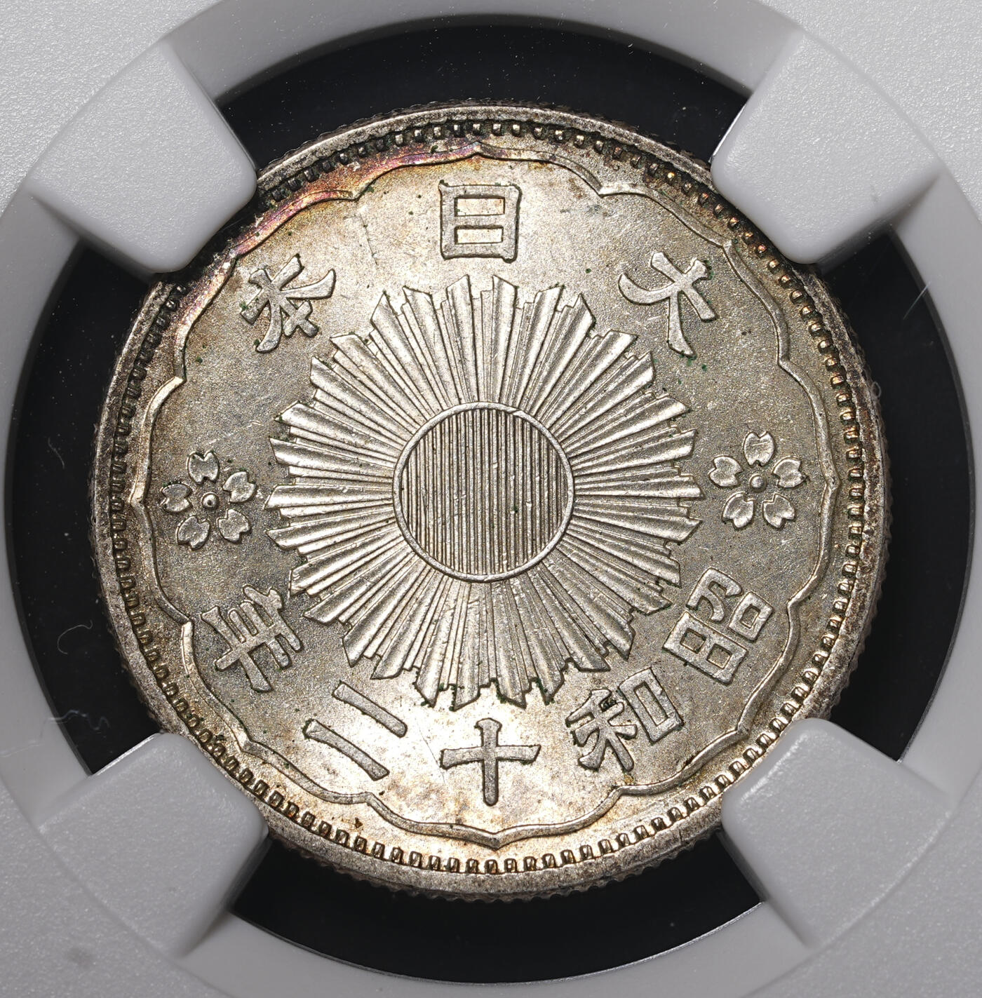 修遠堂世界钱币第四十二期 全场包邮 五彩 NGC MS64 双凤五十钱银币两枚