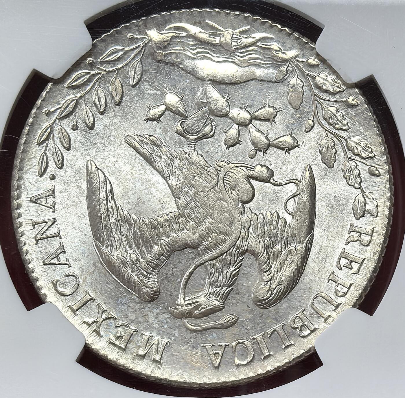 FXS世界钱币微拍第二百八十七期 荐！1895MO墨西哥花边鹰洋NGC-MS64，浅色包浆，银光质感优美！