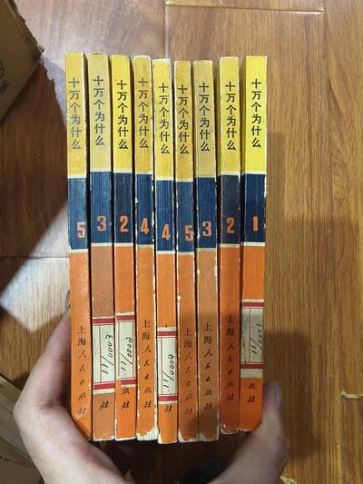九期新疆小崔一丝路币杂件工艺品徽章拍卖 - 书一组