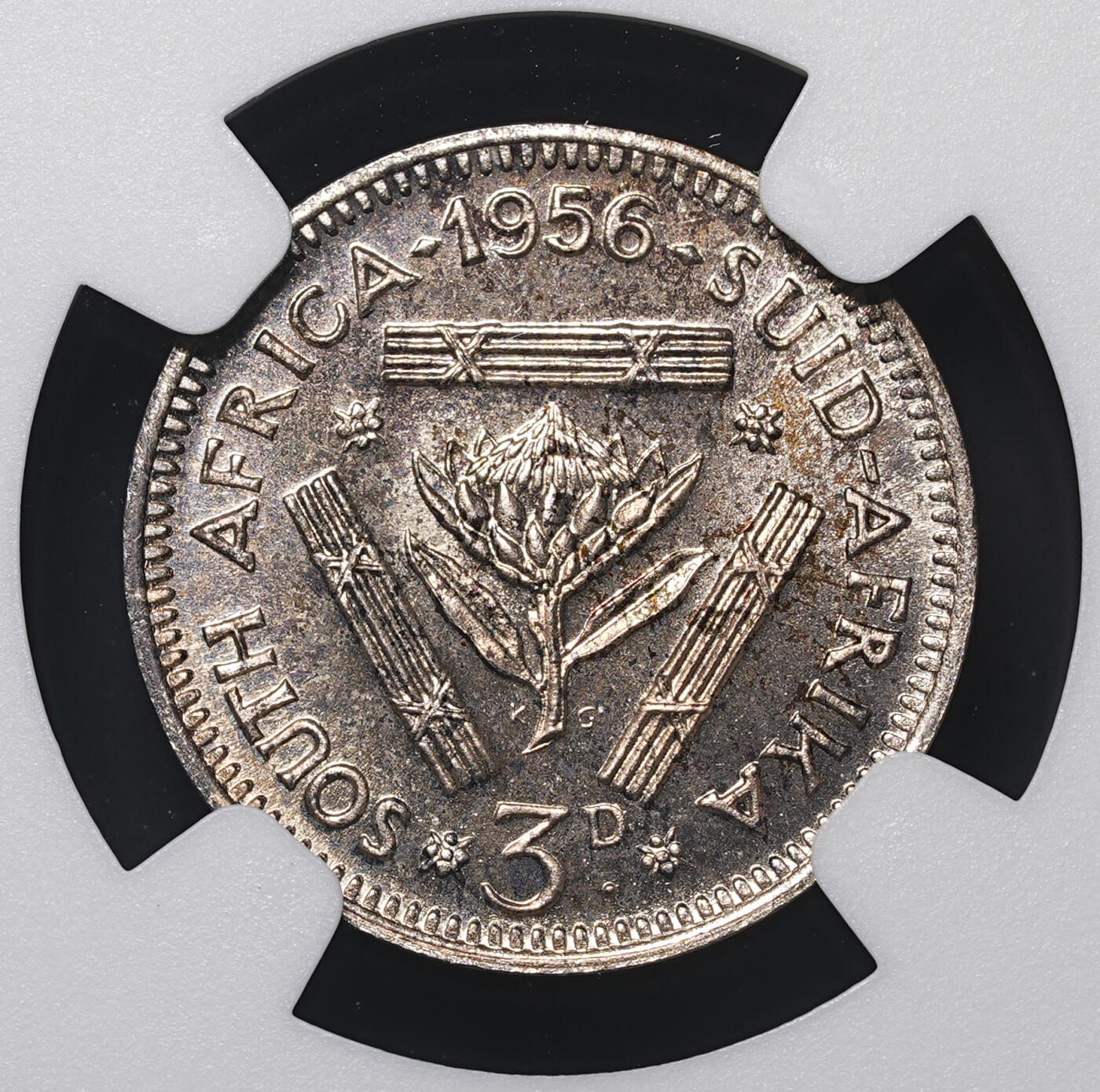 修遠堂世界钱币第四十二期 全场包邮 NGC PF66 1956年南非3便士精制银币 仅铸造1700枚 五彩包浆