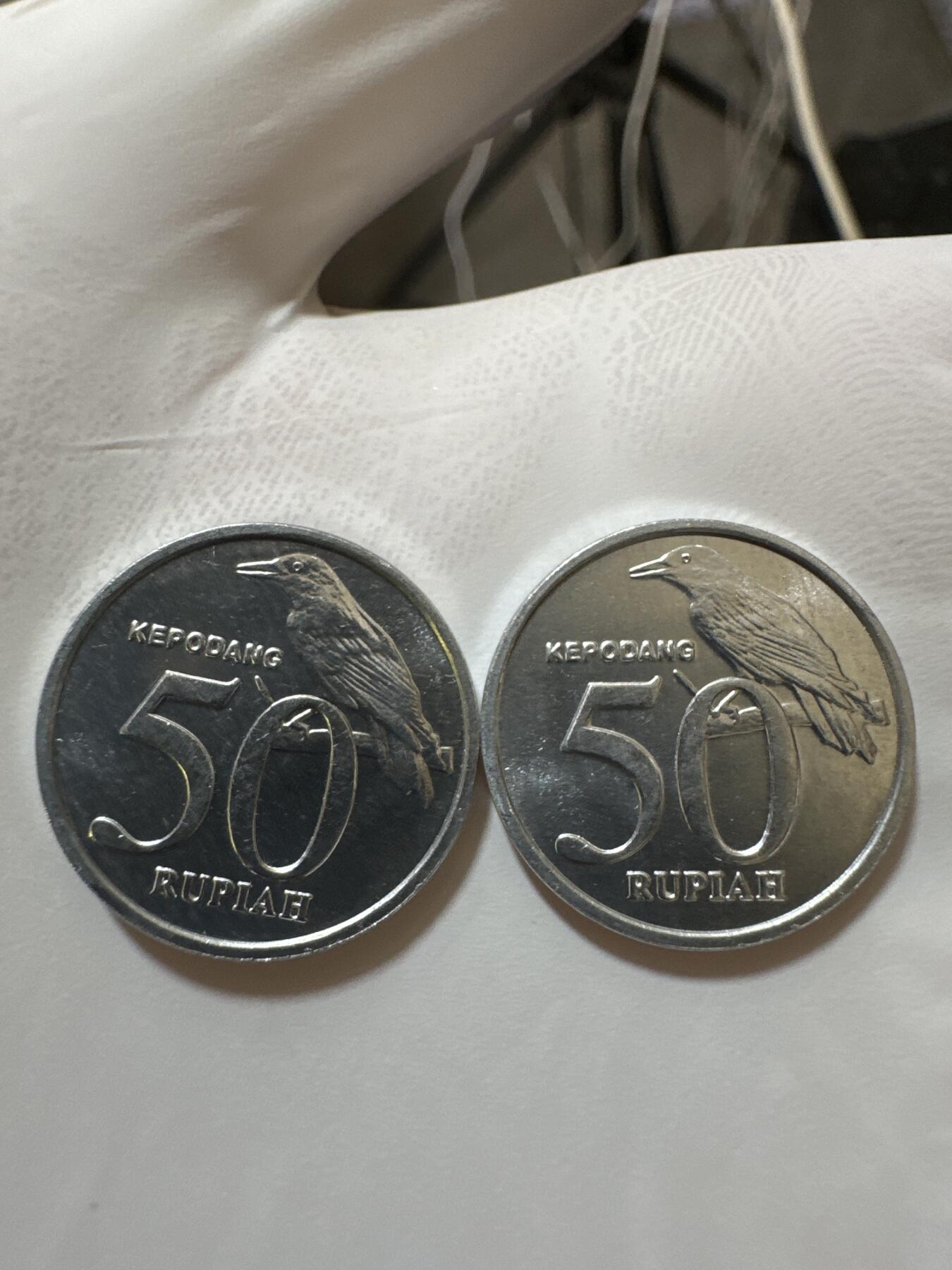 国庆假期快乐🎉正常打包1天发货哦～ 印度尼西亚50卢比（两枚）