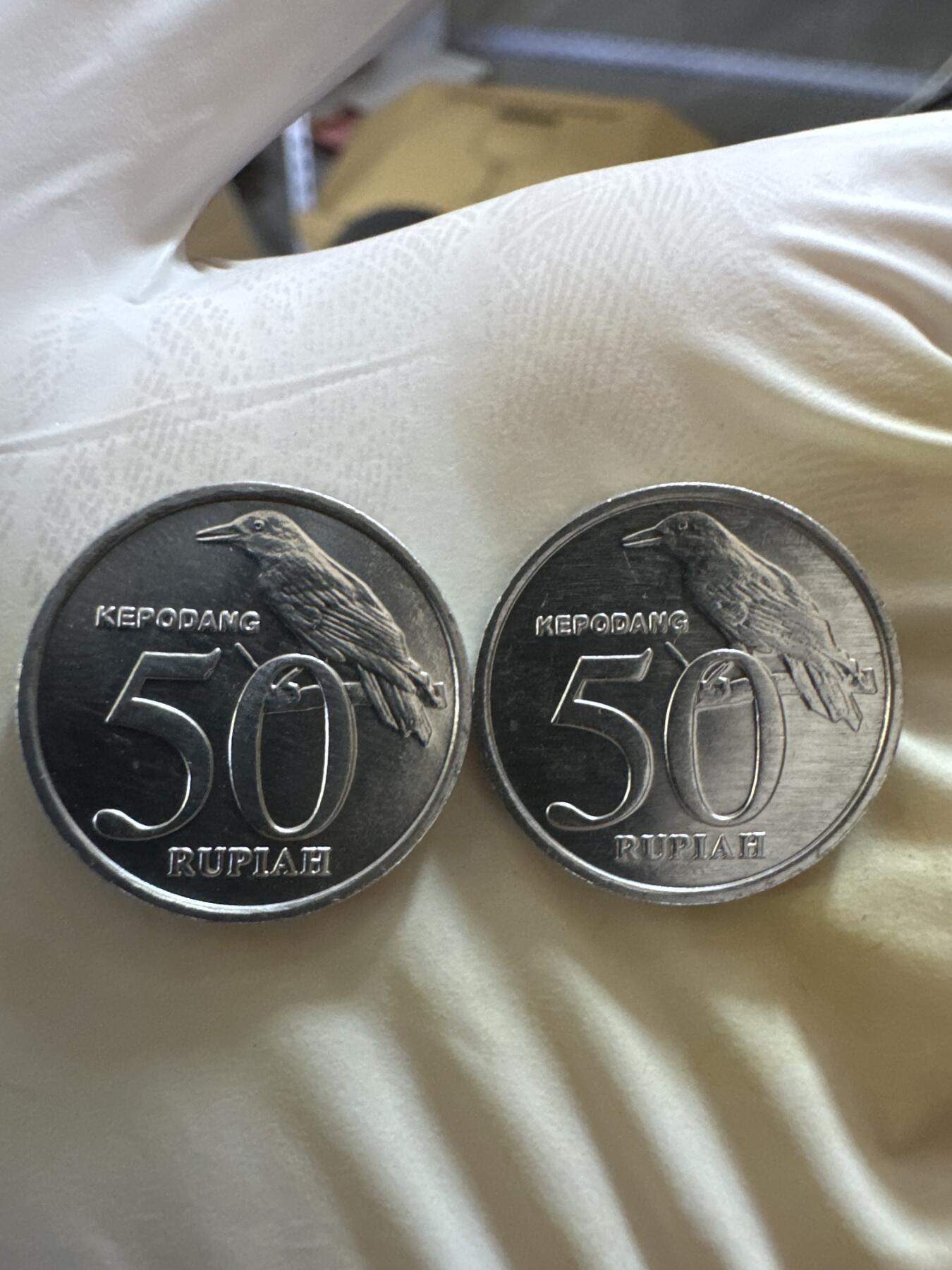 国庆假期快乐🎉正常打包1天发货哦～ 印度尼西亚50卢比（两枚）