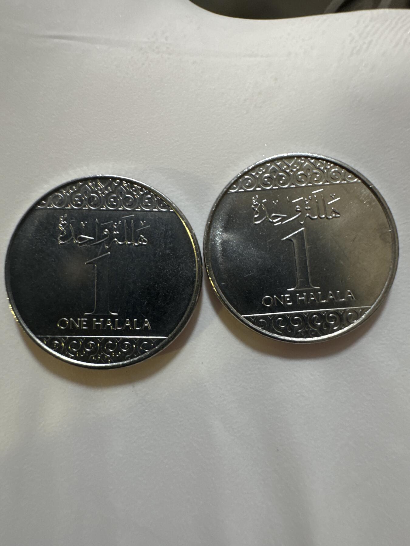 国庆假期快乐🎉正常打包1天发货哦～ 沙特阿拉伯1halala（两枚）