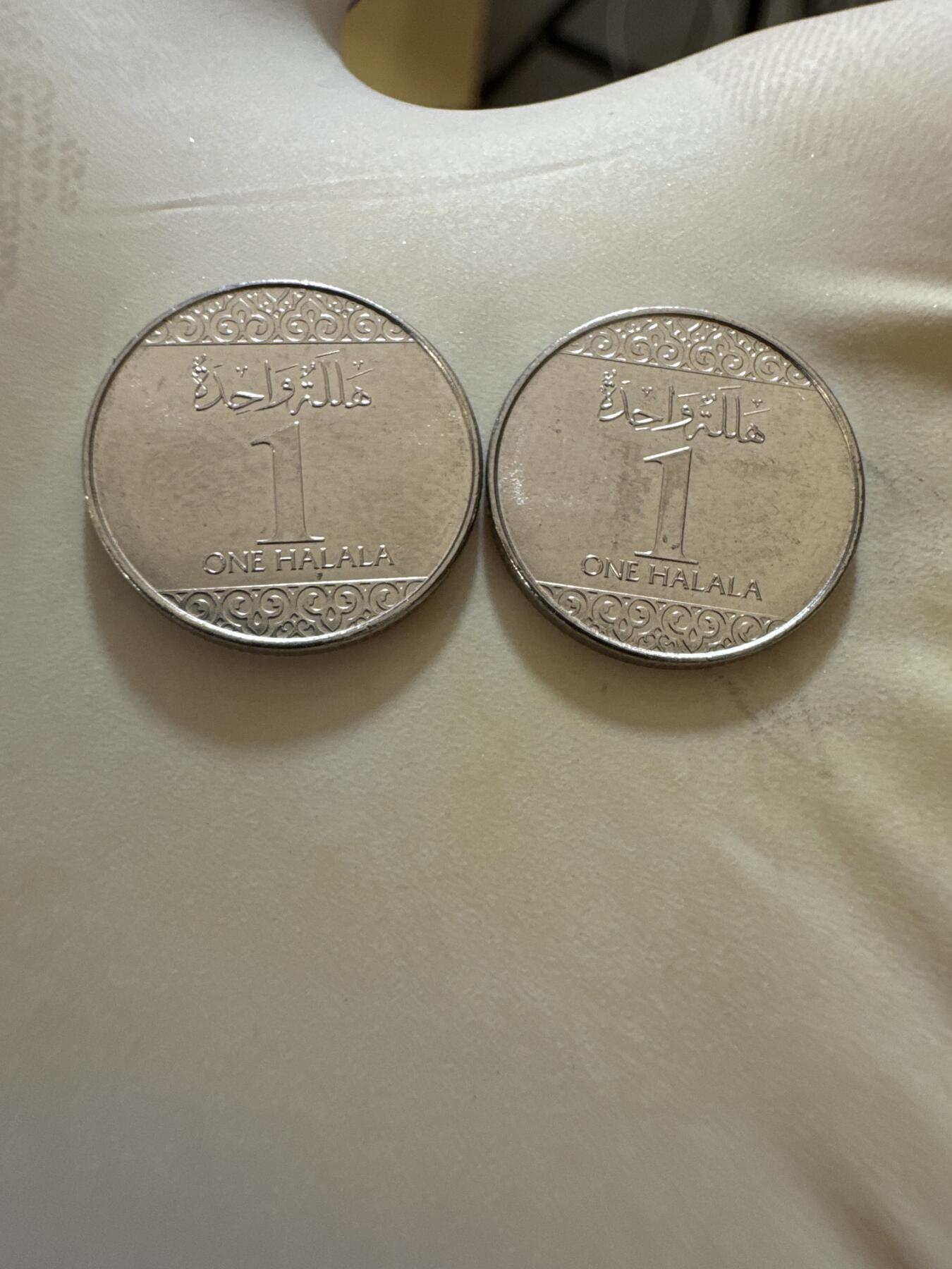 国庆假期快乐🎉正常打包1天发货哦～ 沙特阿拉伯1halala（两枚）