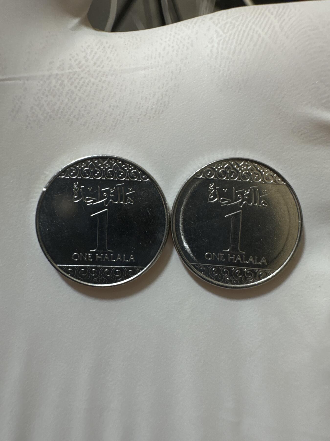 国庆假期快乐🎉正常打包1天发货哦～ 沙特阿拉伯1halala（两枚）