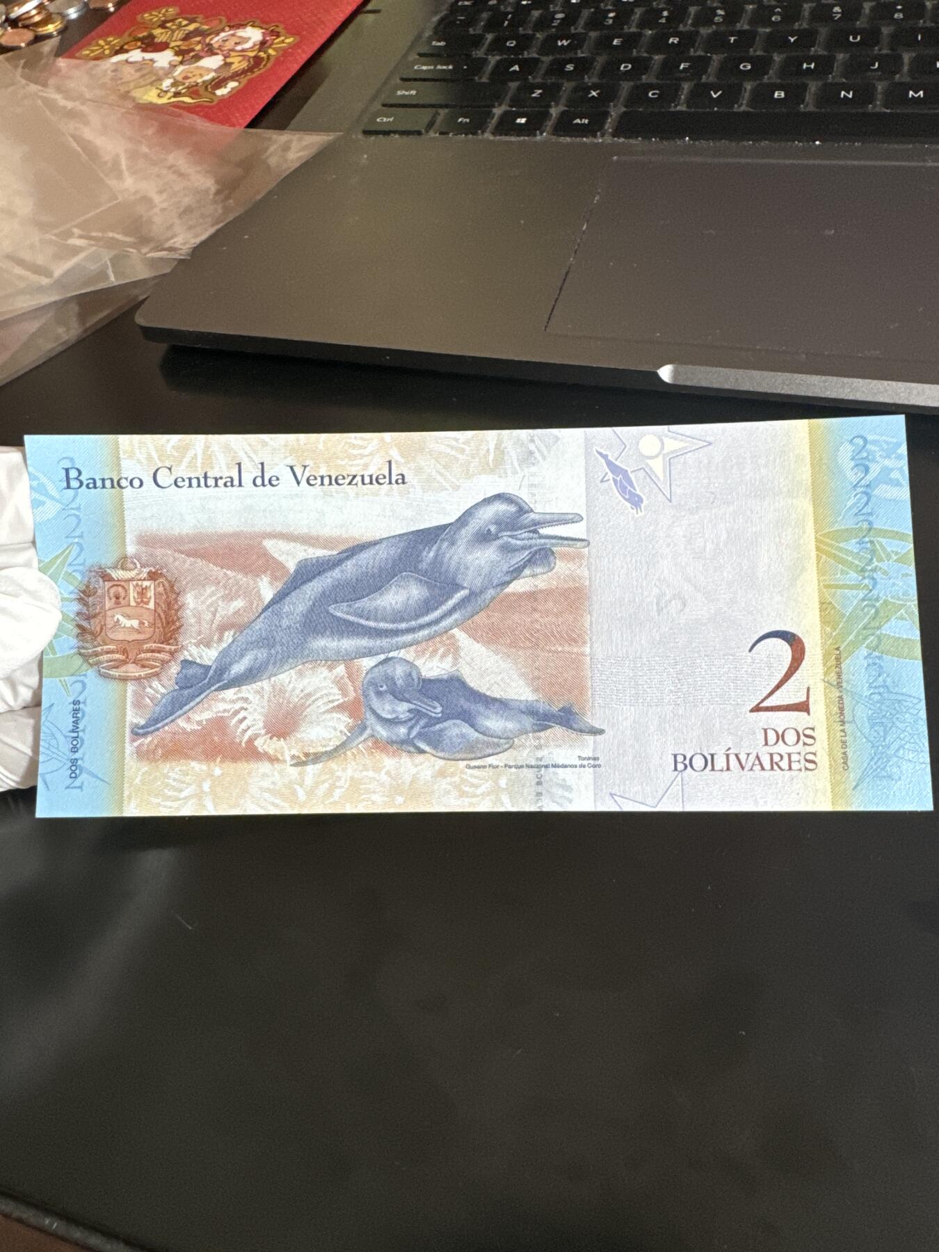 国庆假期快乐🎉正常打包1天发货哦～ 亚马逊河豚 委内瑞拉2纸币