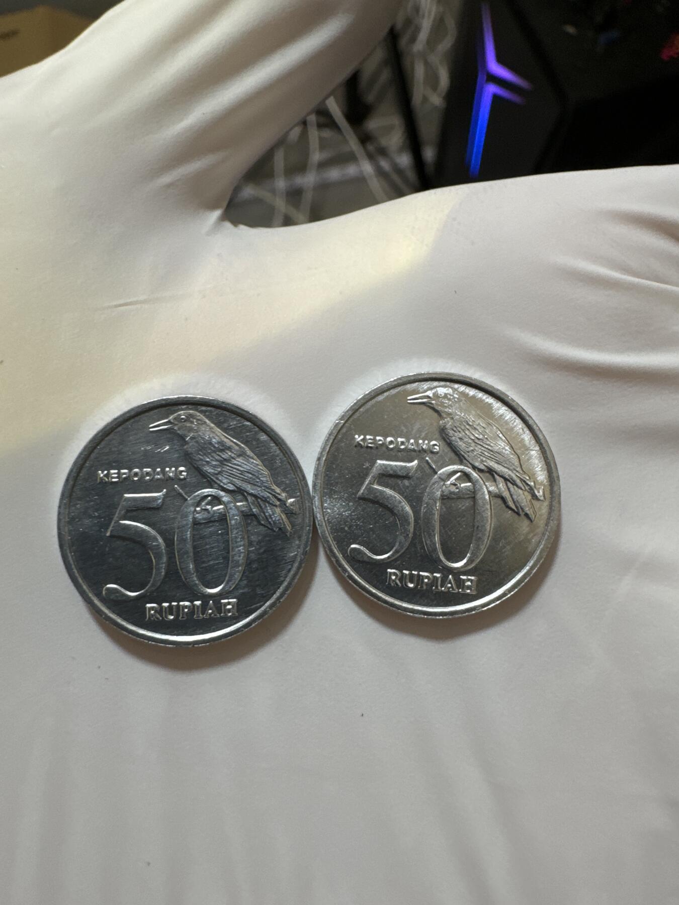 国庆假期快乐🎉正常打包1天发货哦～ 印度尼西亚50卢比（两枚）