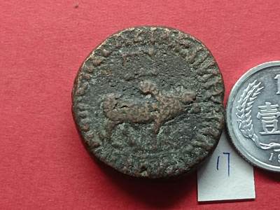 丝路打制货币 丝路打制货币17