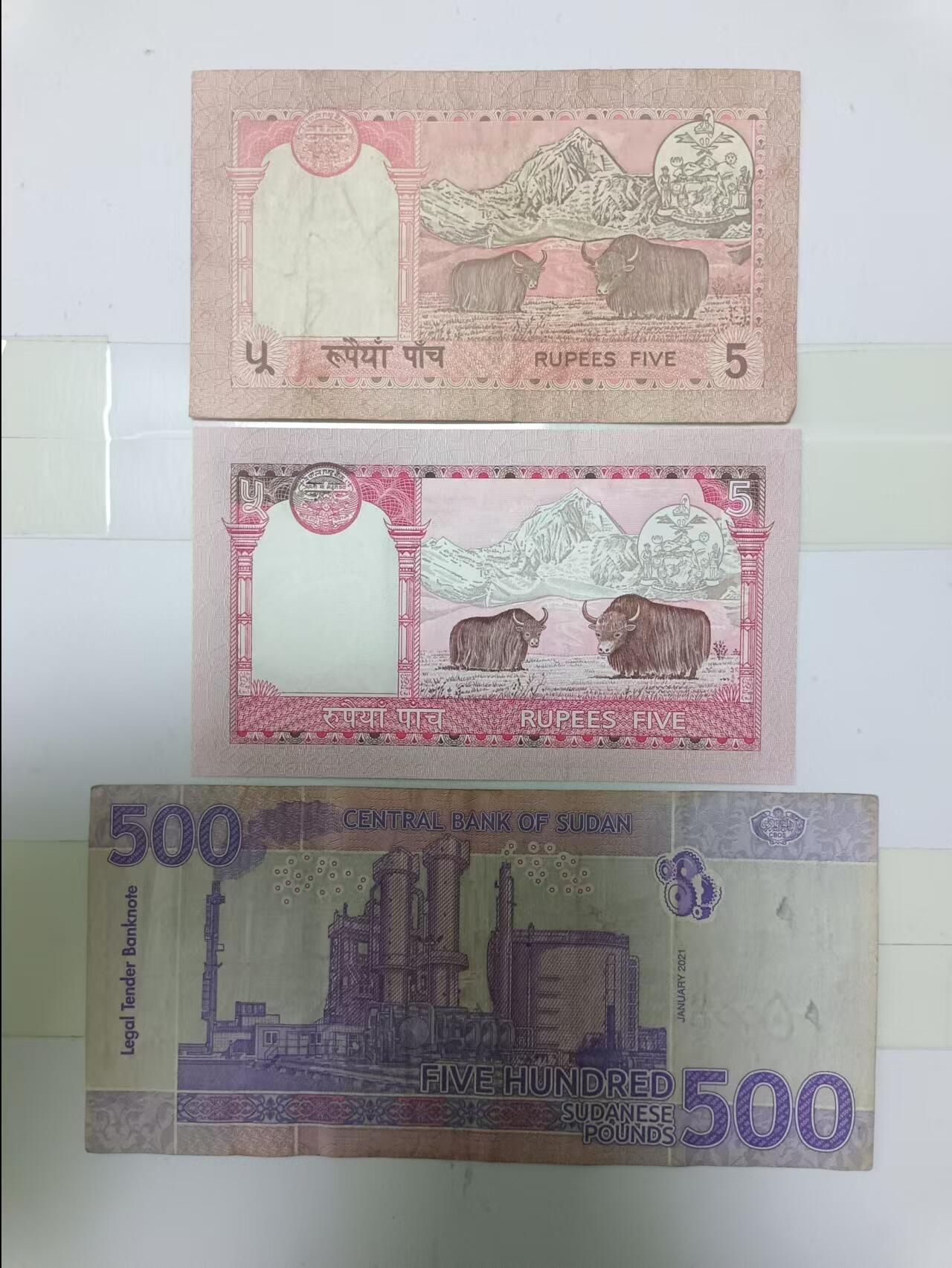 【20241006】非全新纸币第173场 尼泊尔2张纸币和苏丹500镑