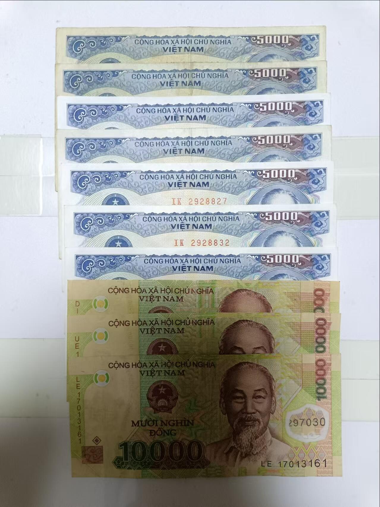 【20241006】非全新纸币第173场 越南10张纸币