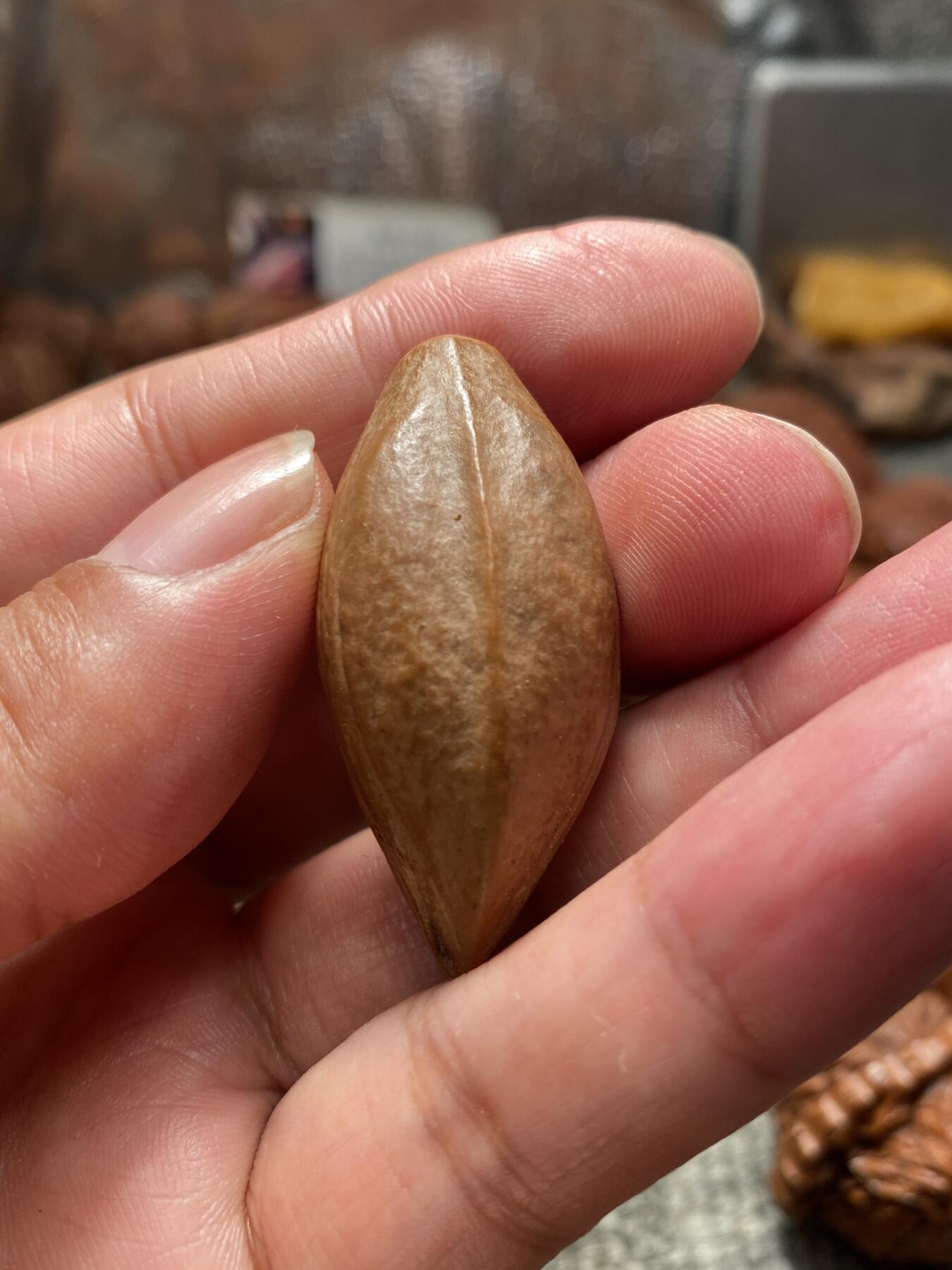 苏州舟山手工核雕放漏价 苏工核雕梅林手工雕刻老款千里走单骑，个性，好玩又好看，立体感十足风格独特，尺寸2。1x4。5喜欢的来