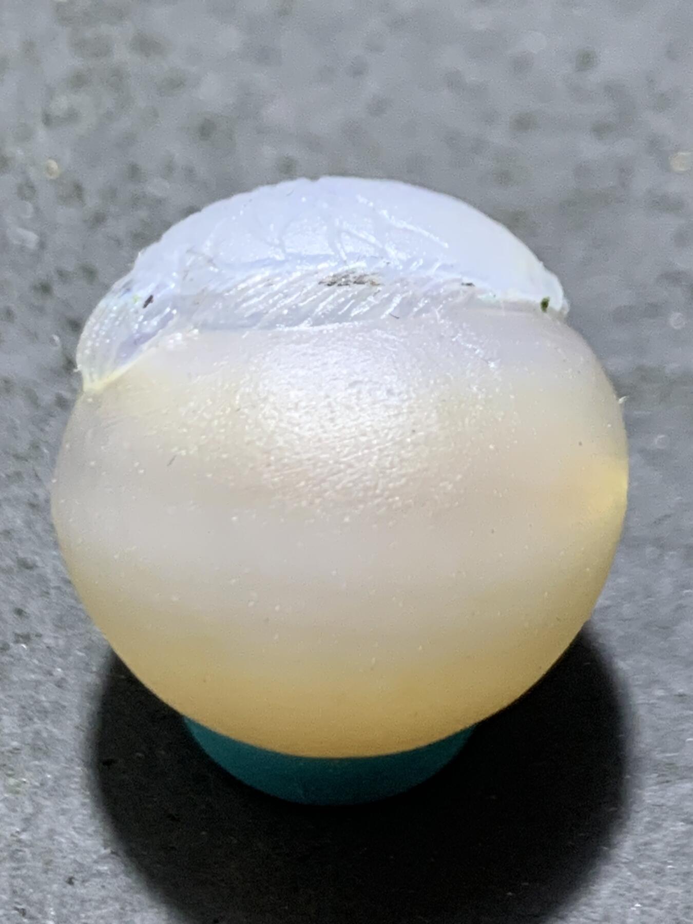 精美亚光高玉化草花纹海洋玉髓手工俏色巧雕富贵有余圆珠一个！