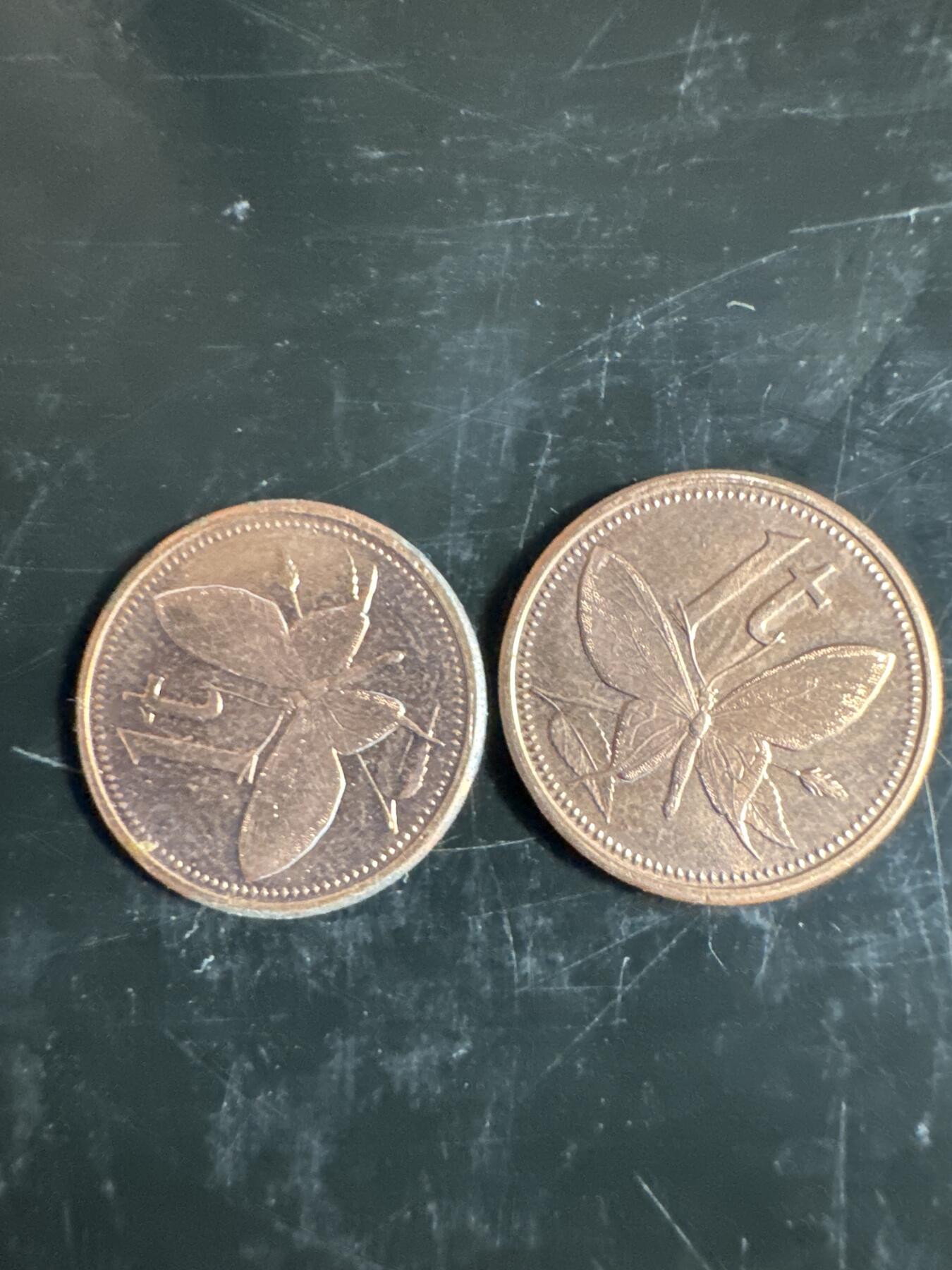 大家国庆快乐～今天还是一天发货哟～ 巴布亚新几内亚2个