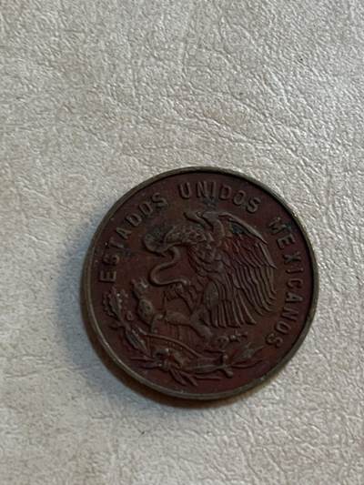 外币专场 墨西哥