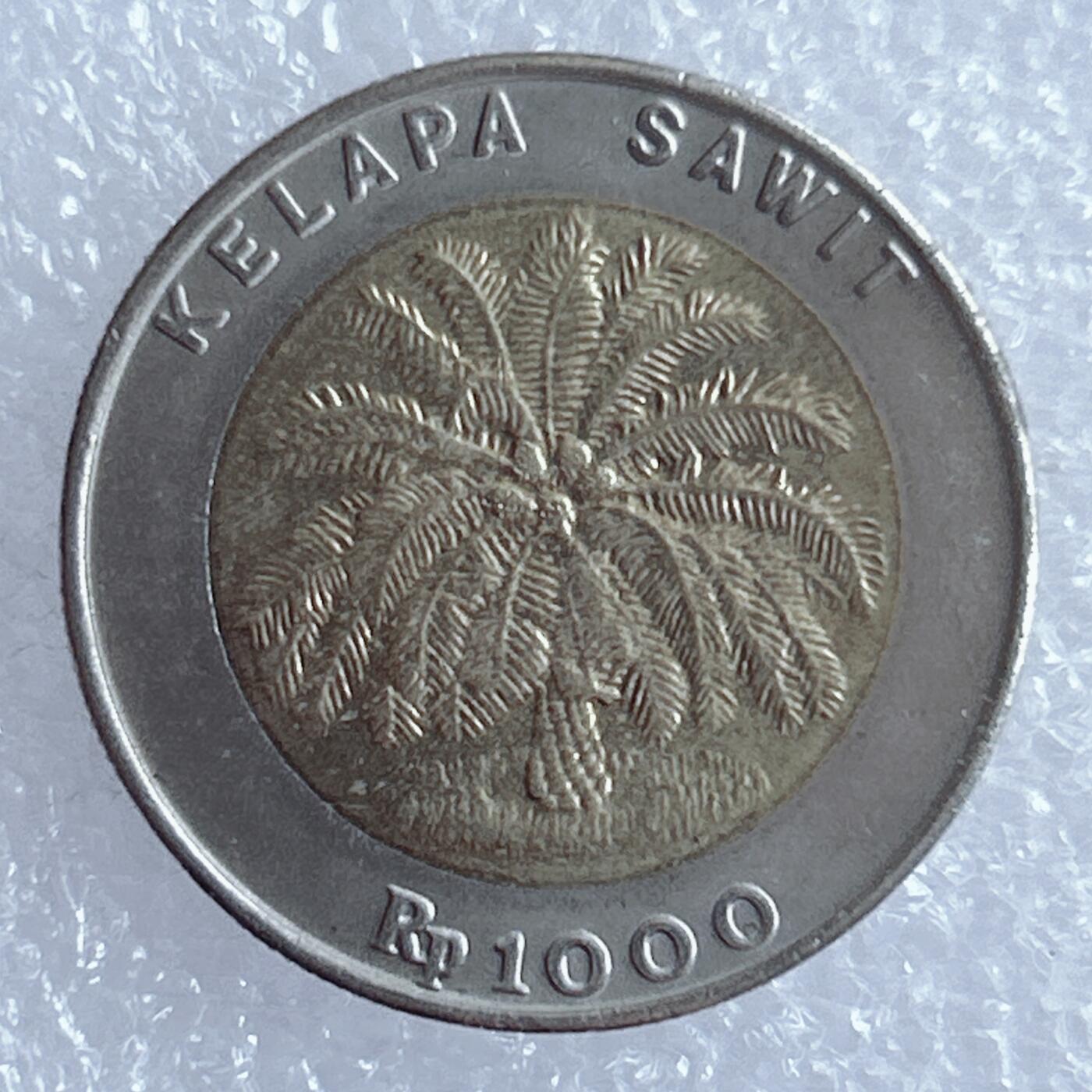 海外回流1元起拍小铺 各国钱币散币场 第17期 印度尼西亚1995年1000卢比