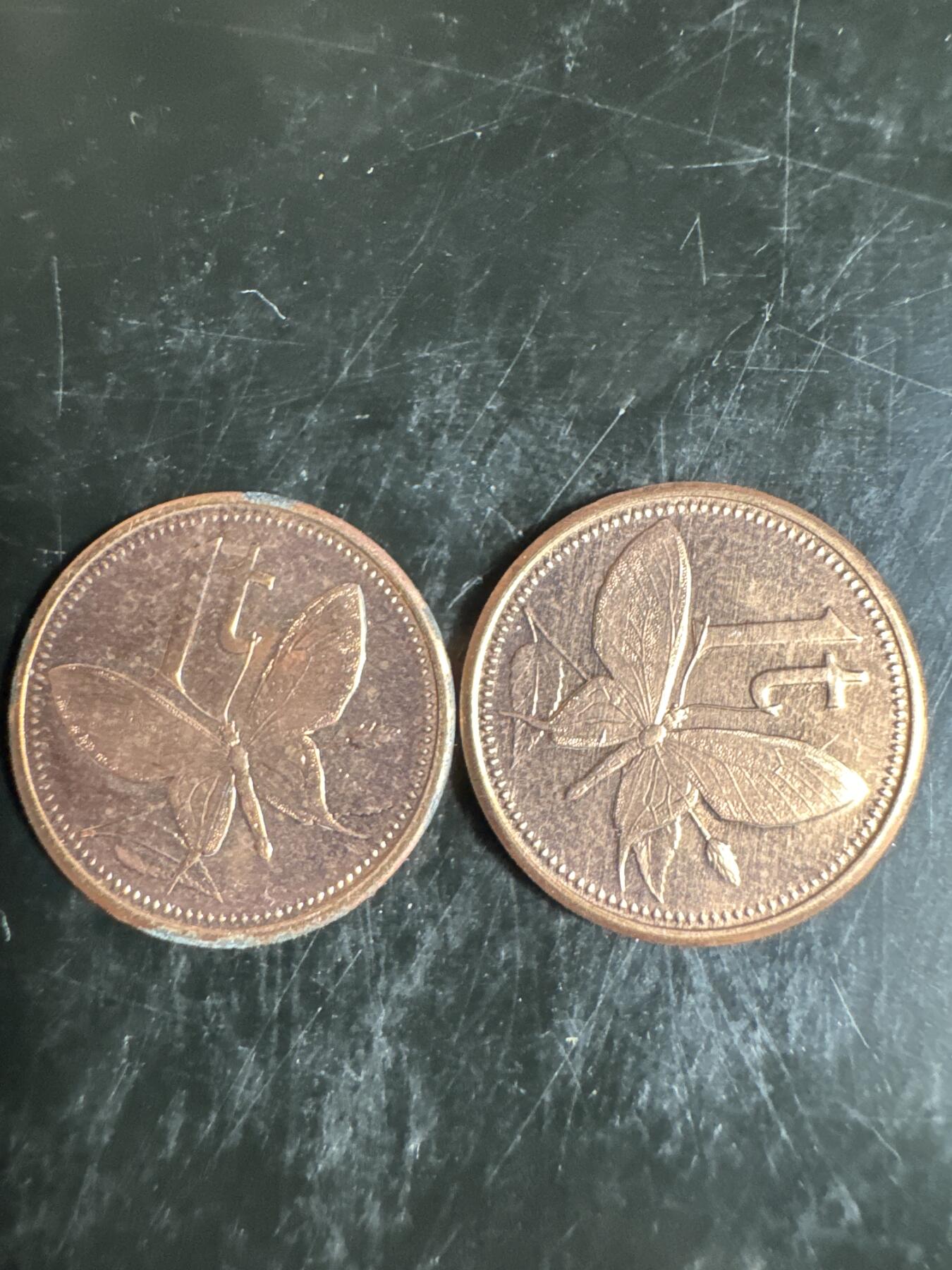 大家国庆快乐～今天还是一天发货哟～ 巴布亚新几内亚2个