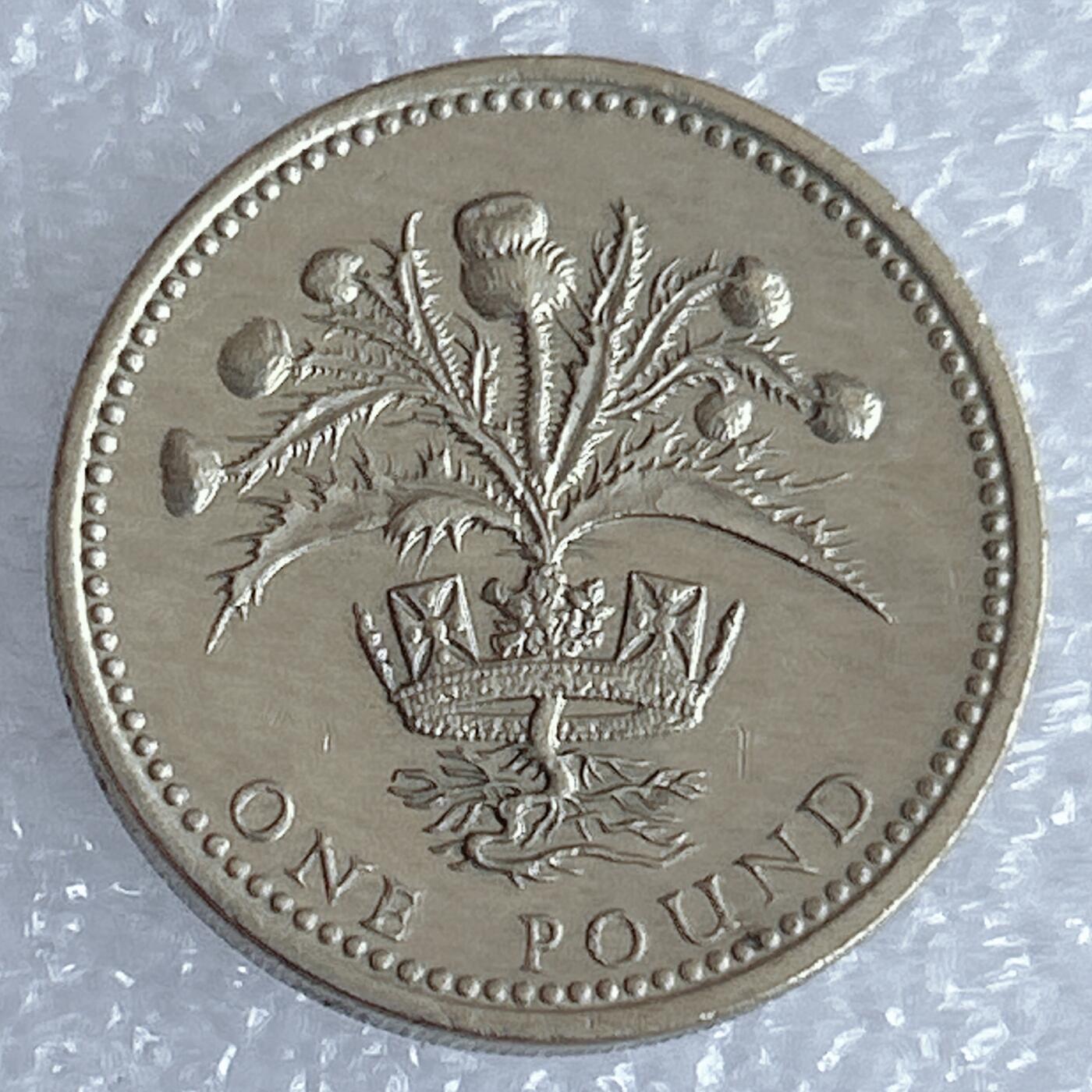 海外回流1元起拍小铺 各国钱币散币场 第17期 英国1989年1镑 蓟花