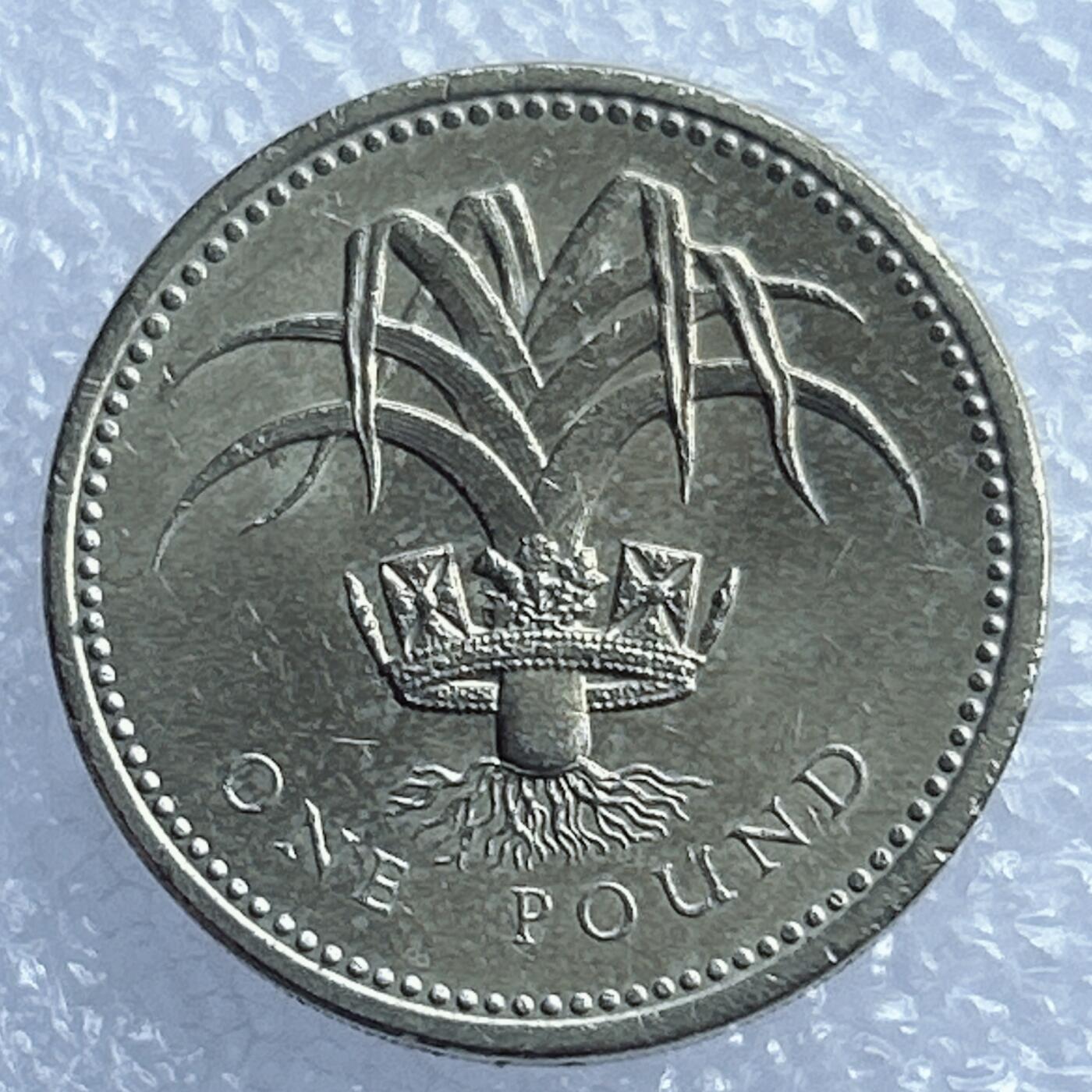 海外回流1元起拍小铺 各国钱币散币场 第17期 英国1985年份老1磅 威尔士韭葱和皇冠