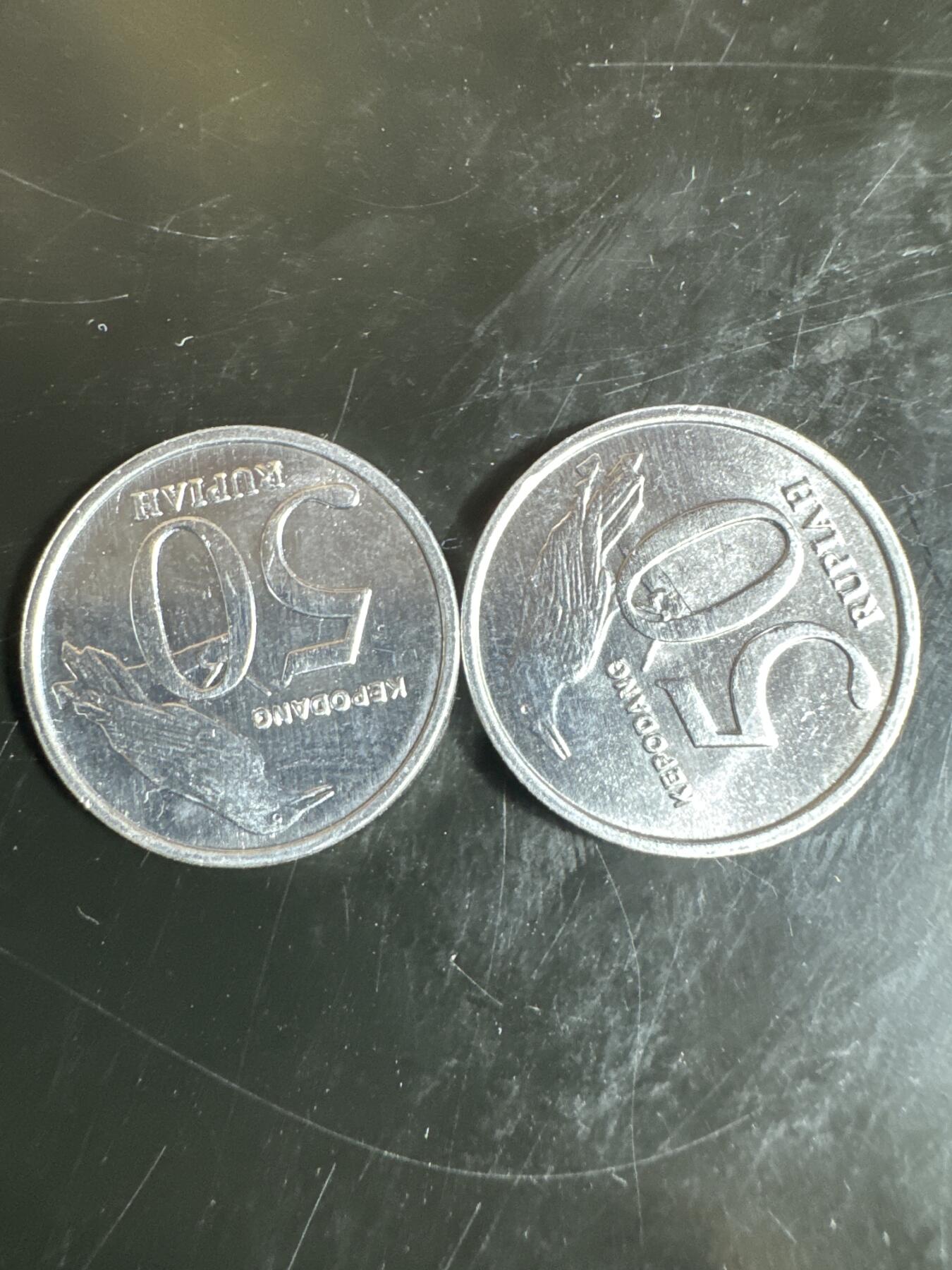 大家国庆快乐～今天还是一天发货哟～ 印度尼西亚50卢比（两枚）