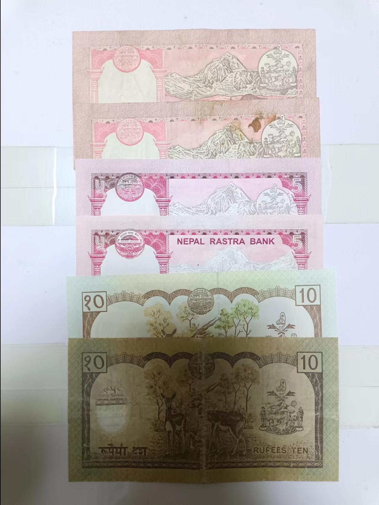 【20241011】非全新纸币第176场 尼泊尔6张纸币，有字迹