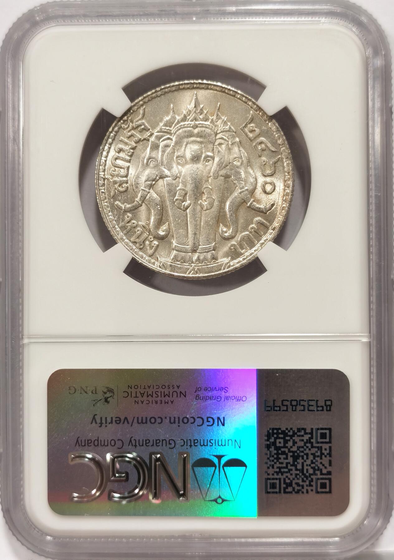 博洋堂“风染桂香”10月精品专场暨第095期（全场包邮） NGC MS64 泰国BE2460(1917年）拉玛六世一株三头象神银币 黄油味包浆  状态顶级 高分不易