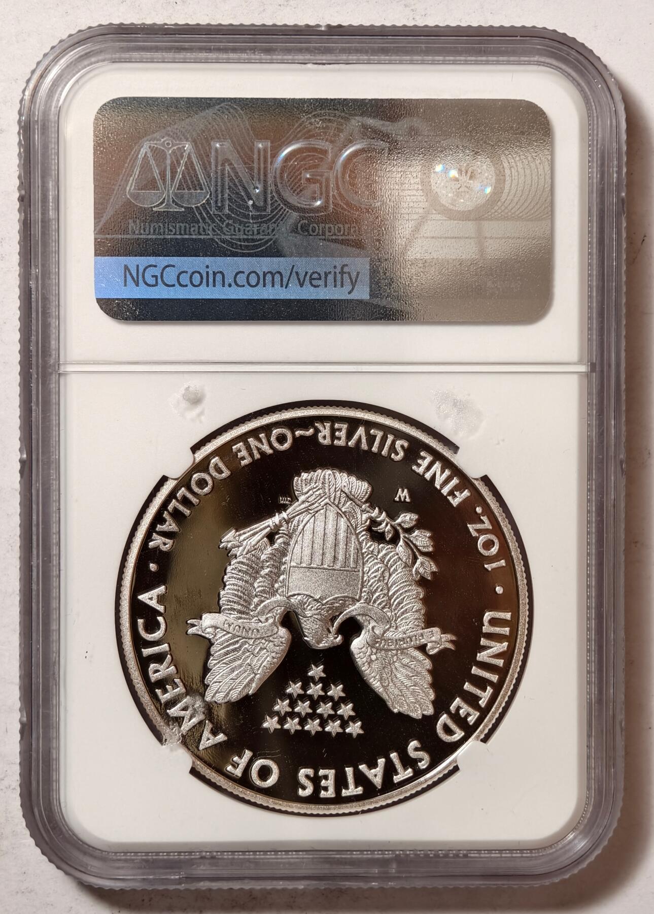 紫瑗钱币——第430期 美国 2013年 W版 行走女神 1盎司 投资银币 NGC PR69 UC 精制