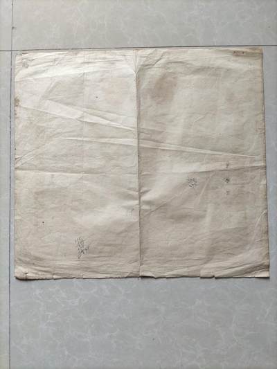 地契票证保真专拍 东北人民政府土地执照