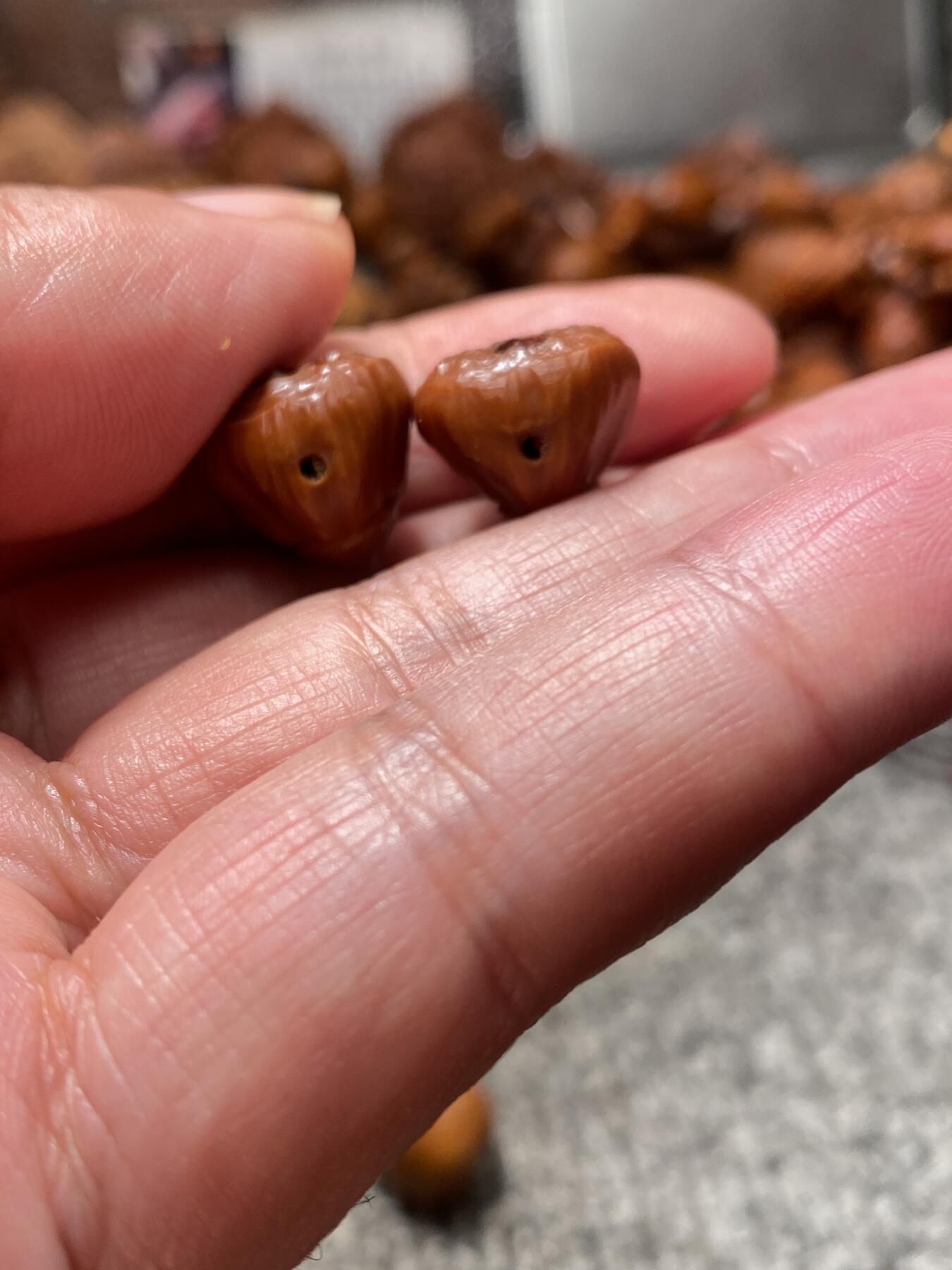 苏州舟山手工核雕放漏价 福利苏工核雕纯手工老铁核雕刻七星莲子，弟子珠，腰珠一对，个性十足，等待有缘人，尺寸1。48x1.7喜欢的来