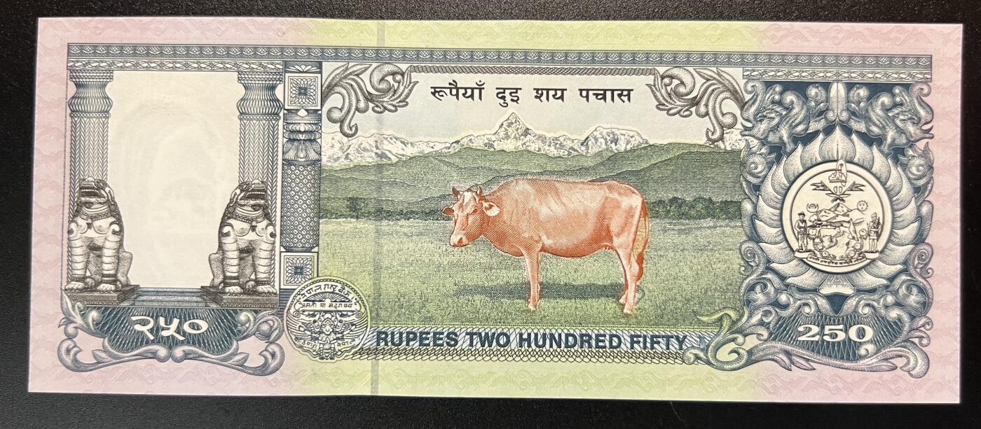 珑诚汇·乐淘淘 世界纸币拍卖 第32期 低佣场 尼泊尔1997年纸币 250卢比 有潮斑 UNC