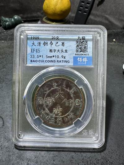 清，宣统大清已酉二十文铜元一枚！ - 清，宣统大清已酉二十文铜元一枚！