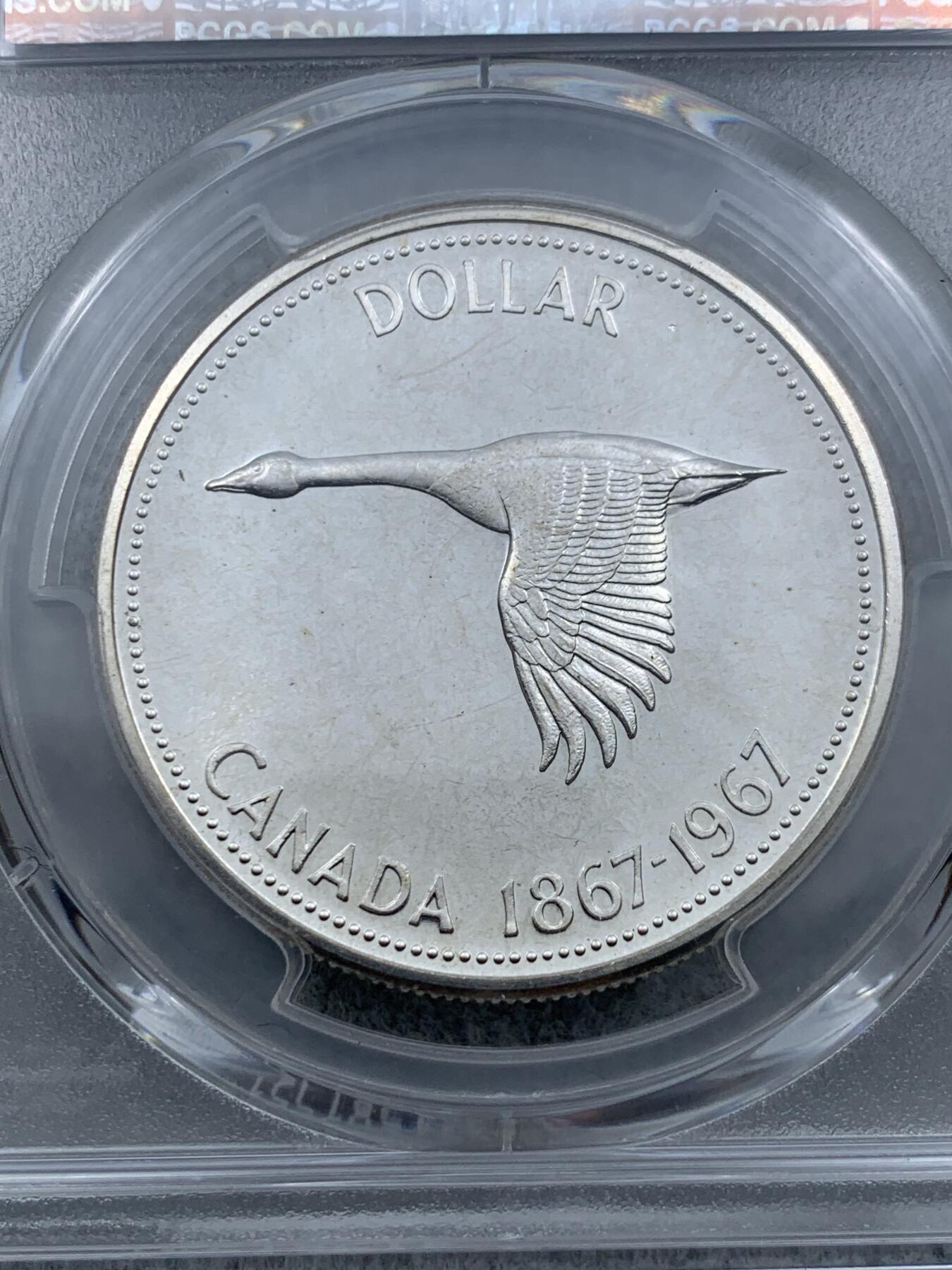 《竞宝斋》第318场 周日，周一 2场连拍 （全场包邮） PCGS PL66 加拿大大雁1元类精制币，币面干净漂亮！热门品种！