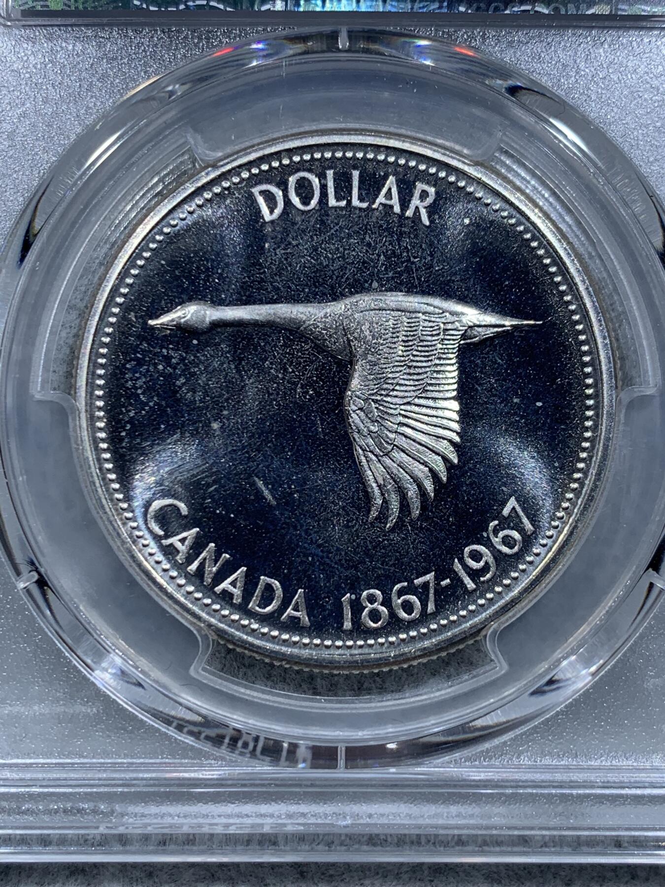 《竞宝斋》第318场 周日，周一 2场连拍 （全场包邮） PCGS PL66 加拿大大雁1元类精制币，币面干净漂亮！热门品种！