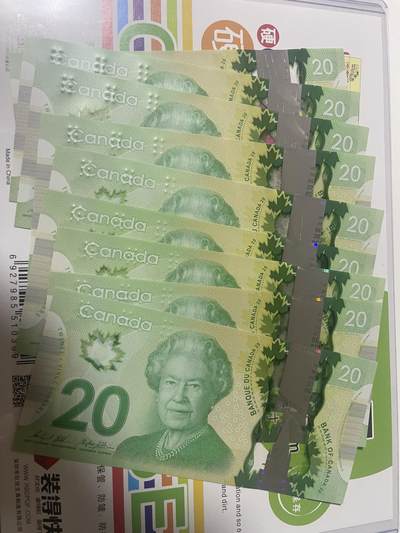 无4号全新UNC加拿大🇨🇦女皇20元 塑料钞稀少 - 无4号全新UNC加拿大🇨🇦女皇20元 塑料钞稀少