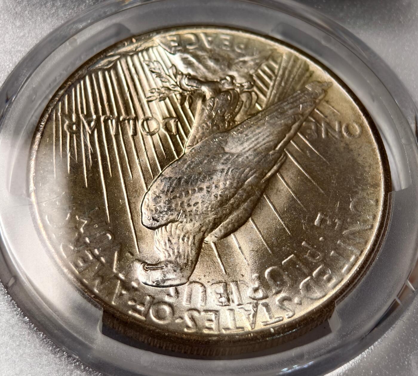 紫瑗钱币——第436期 美国 1925年 和平鸽 1元 银币 PCGS MS65 老盒严评 65难度比摩根高