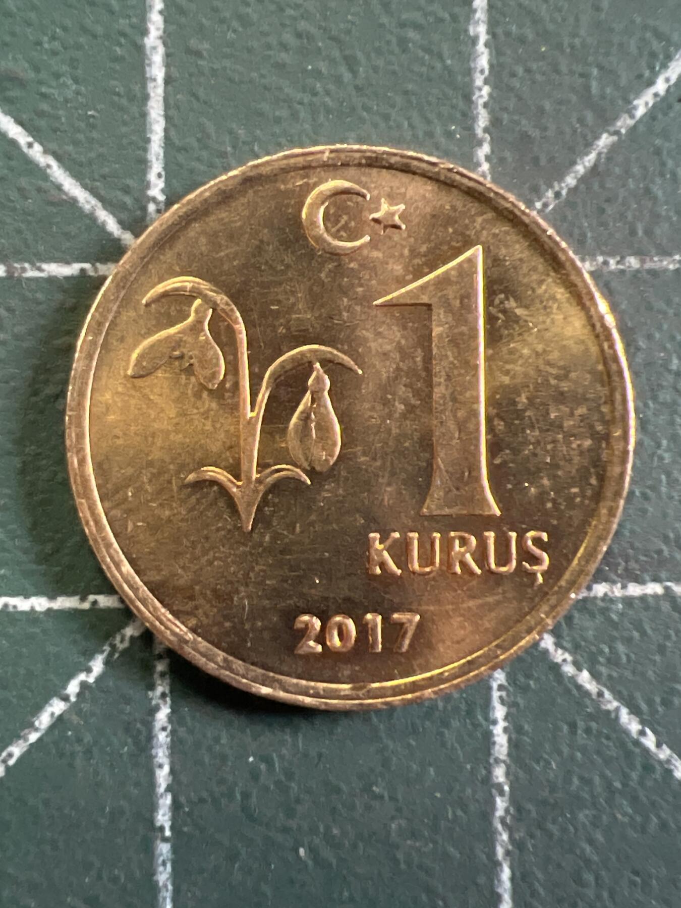 第731期  硬币专场 （无押金，捡漏，全场50包邮，偏远地区除外，接收代拍业务，本店十天发一次货） 土耳其1库鲁