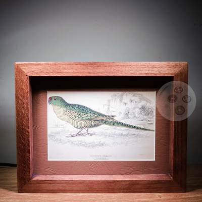 【融合斋】欧洲著名版画、日本金工工艺邮票首日封、火花票专场09 - 1840年原版原页 钢板版画 当时手工上色《博物学家图书馆》系列
