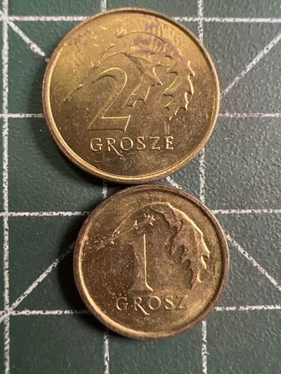 第732期  硬币专场 （无押金，捡漏，全场50包邮，偏远地区除外，接收代拍业务，本店十天发一次货） 波兰2枚