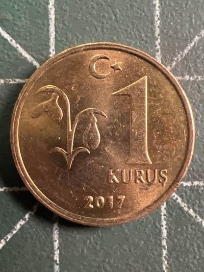 第732期  硬币专场 （无押金，捡漏，全场50包邮，偏远地区除外，接收代拍业务，本店十天发一次货） 土耳其1库鲁