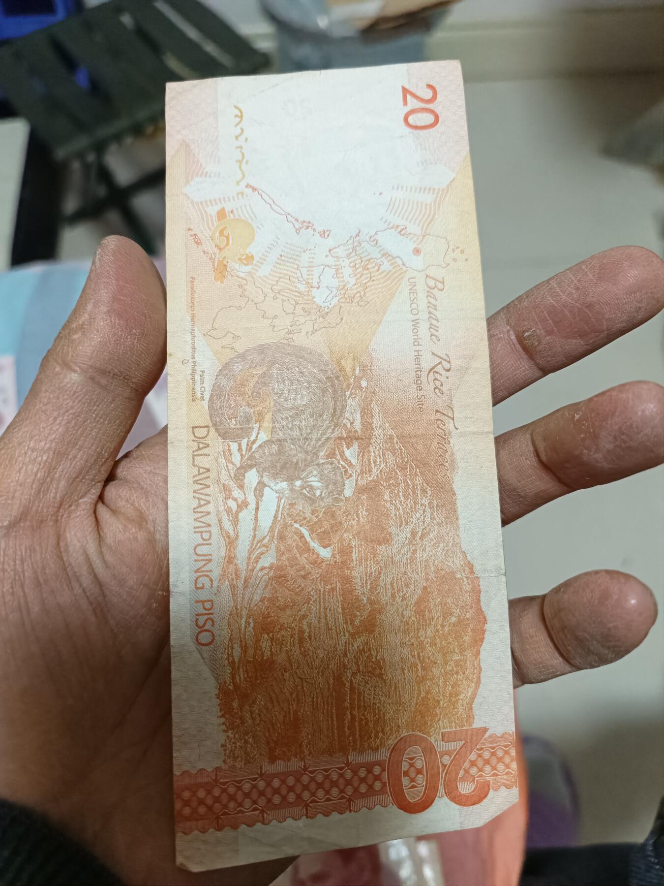 第725期  硬币专场 （无押金，捡漏，全场50包邮，偏远地区除外，接收代拍业务，本店十天发一次货） 菲律宾