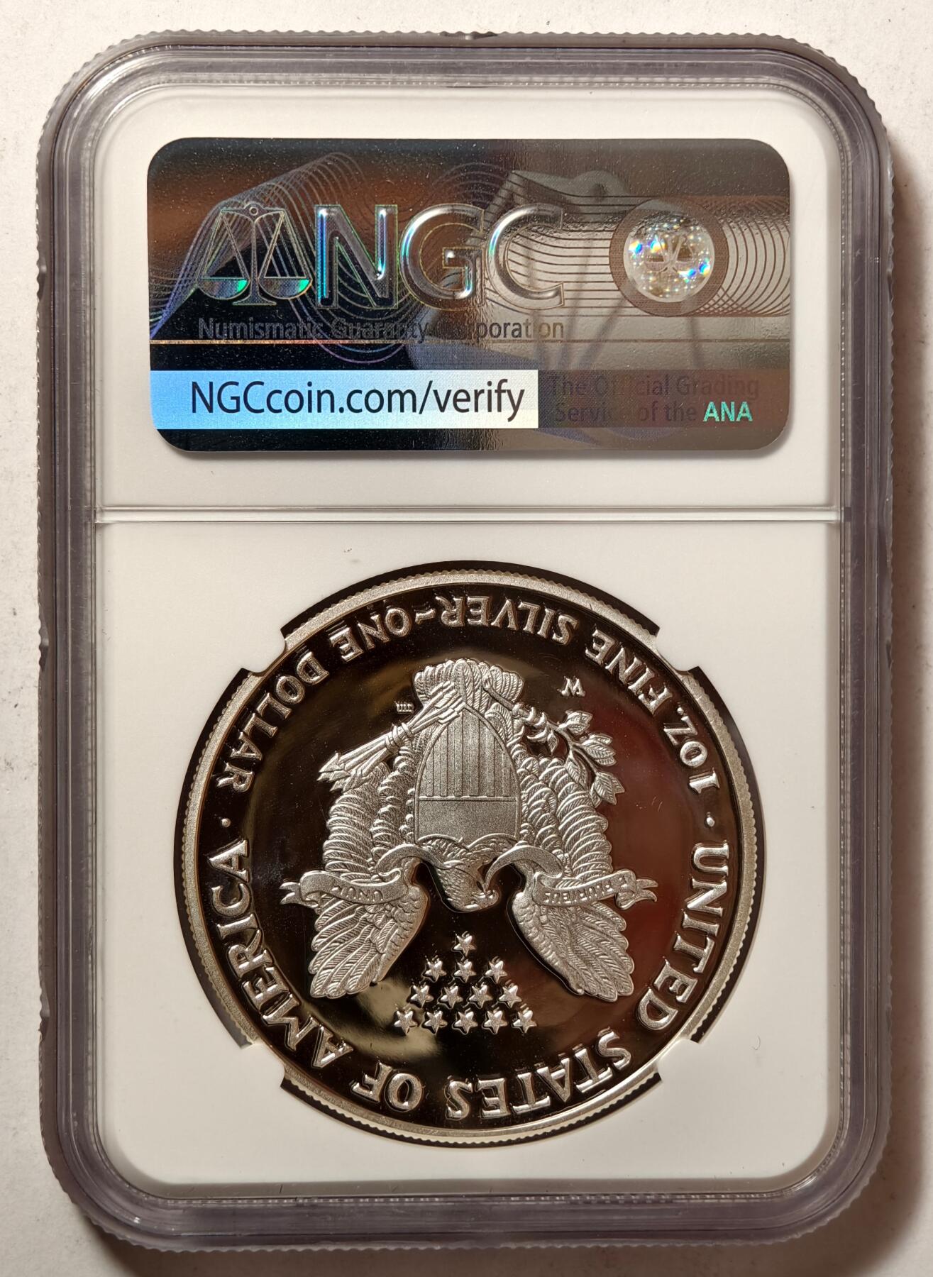紫瑗钱币——第480期 美国 2007年 W版 行走女神 1盎司 投资银币 NGC PR69 UC 精制
