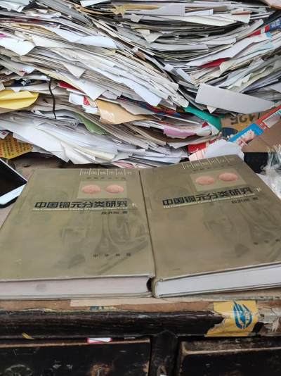 中国铜元分类研究(上下册)（8品左右） - 中国铜元分类研究(上下册)（8品左右）