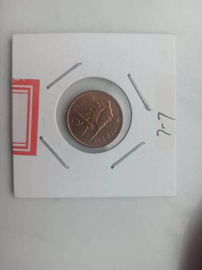1994年 - 1994年
