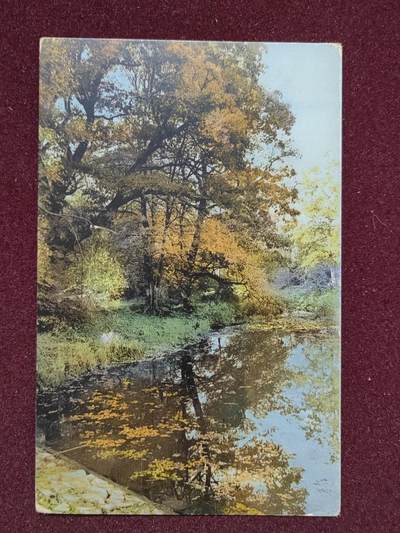 联合阁邮币社™ ——“首日封，0佣金”多多支持 秋色