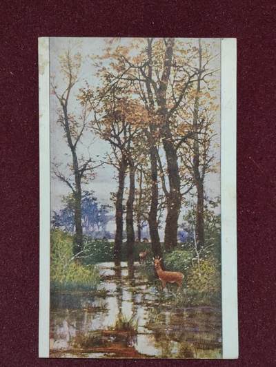 联合阁邮币社™ ——“首日封，0佣金”多多支持 森林中的小鹿