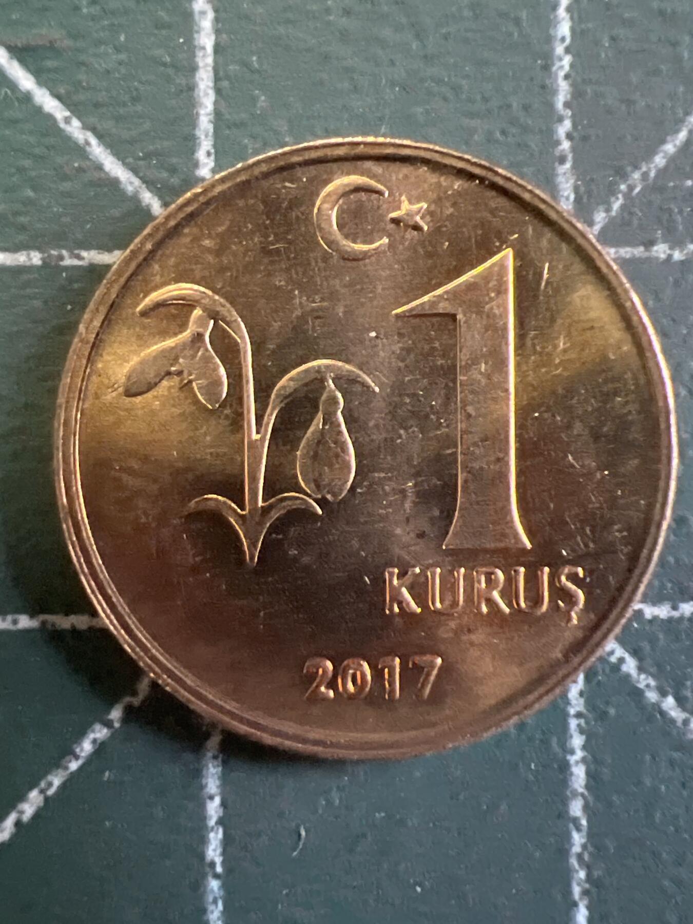 第737期  硬币专场 （无押金，捡漏，全场50包邮，偏远地区除外，接收代拍业务，本店十天发一次货） 土耳其1库鲁   原光