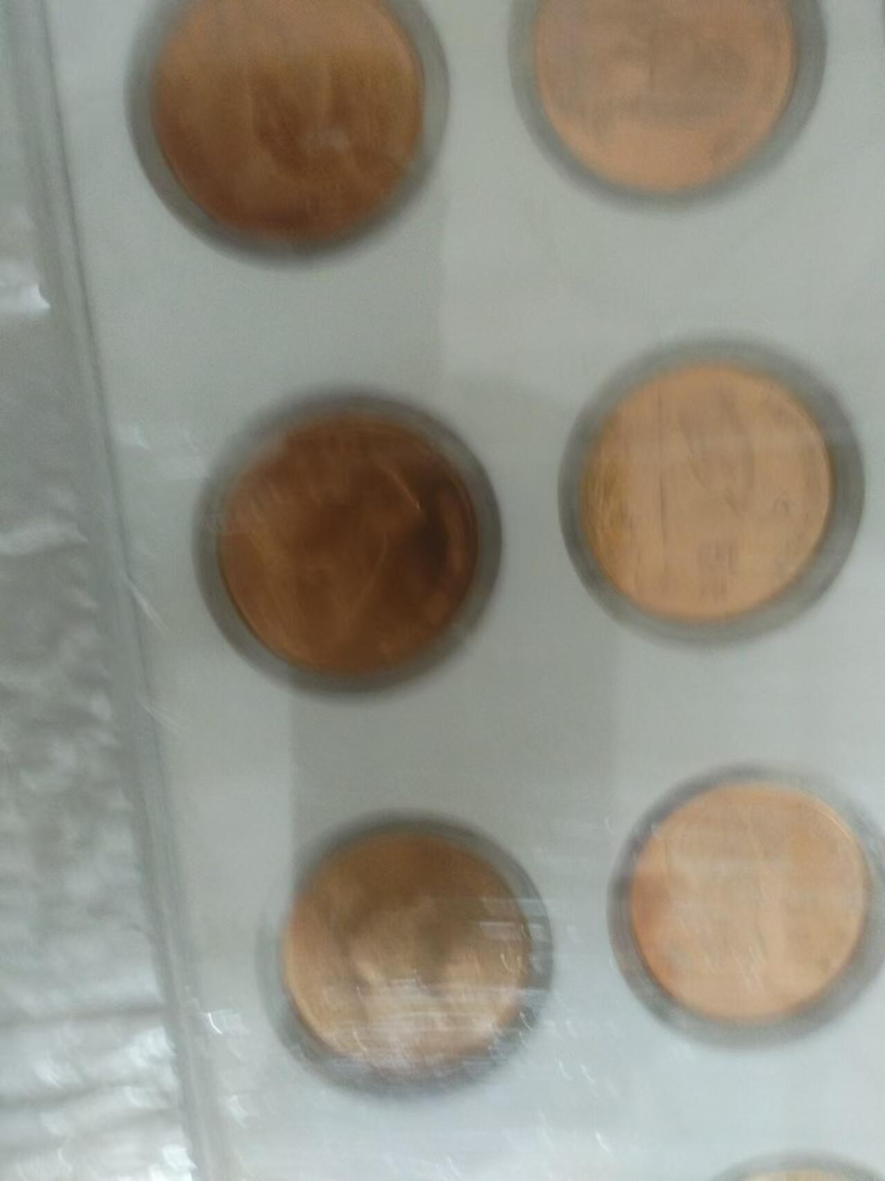 珍惜动物大全部纪念币