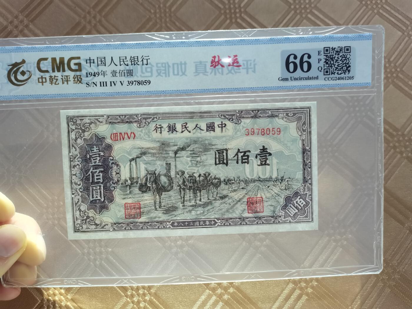 顺天拍卖限时捡漏场 一版币驮运