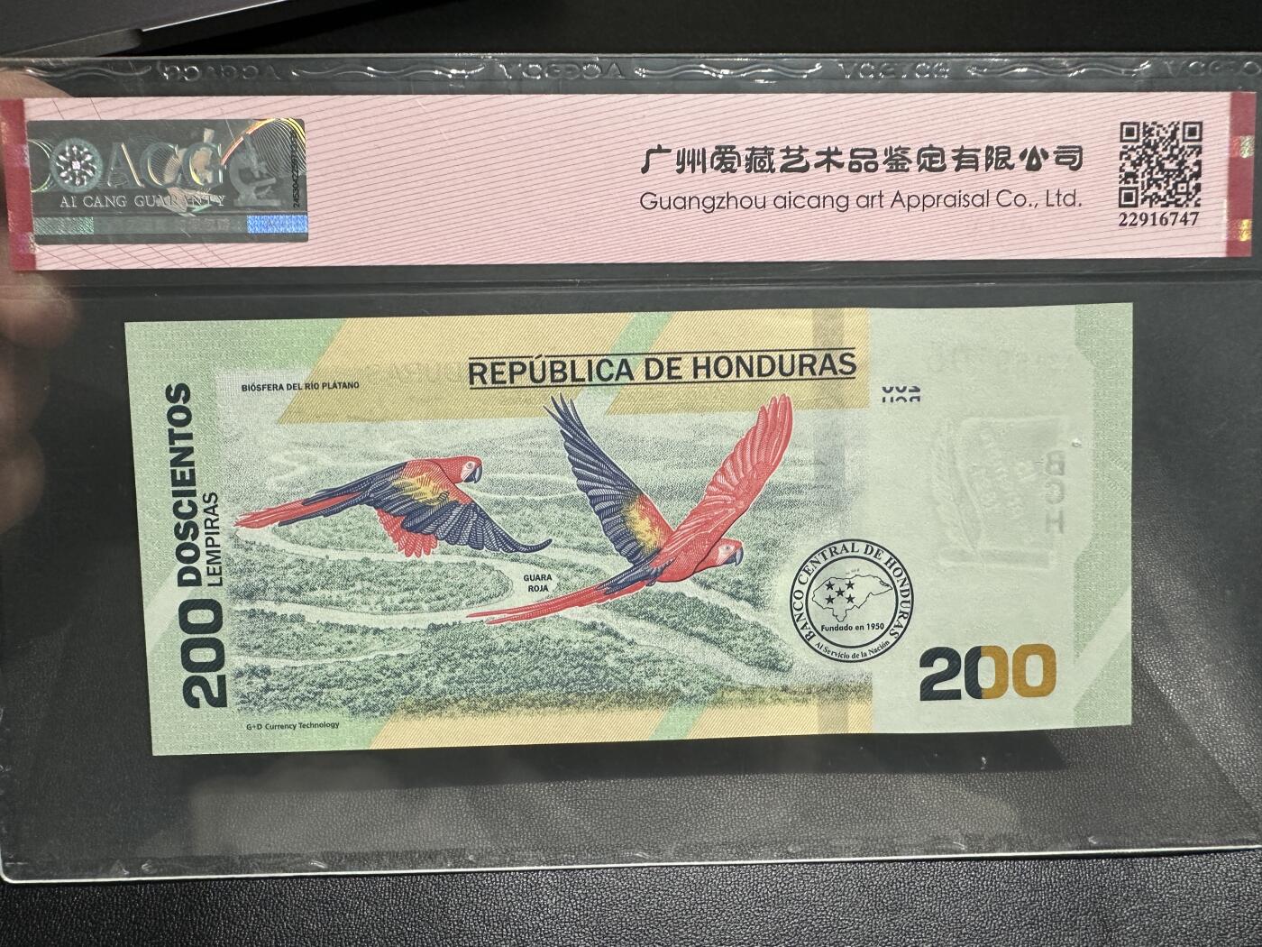 《外钞收藏家》第四百三十一期（连拍场） 2019年洪都拉斯200 爱藏评级 无47 A冠 永恒号 纪念钞