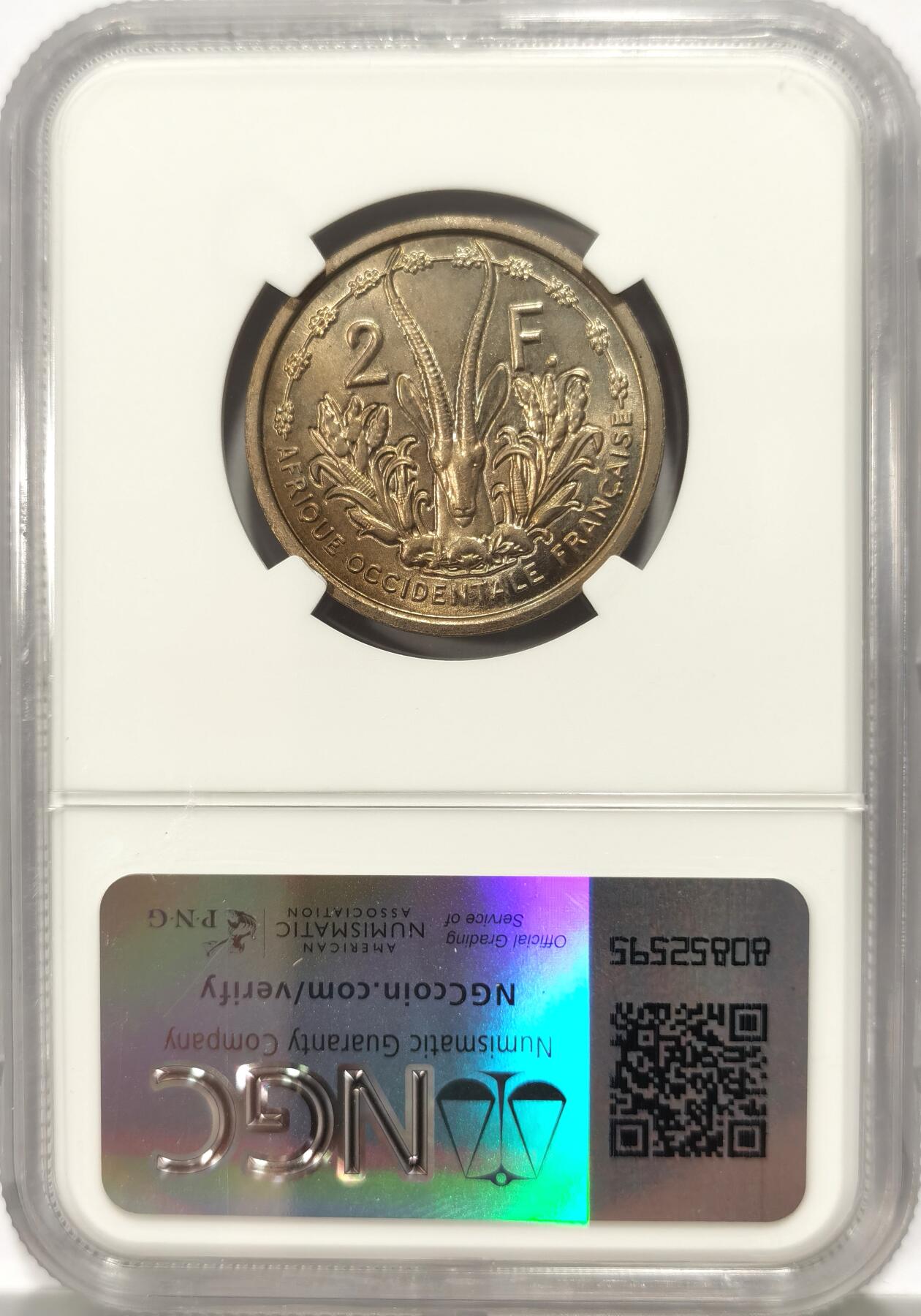 博洋堂世界钱币拍卖第097期（全场包邮） NGC MS64 法属西非1948年2法郎铜镍样币，发行2000枚，有lec9和lec8两个版本，更高分仅有两枚。