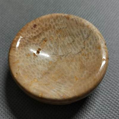 七河·世界钱币杂件小拍（总第26期） - 25-13.海洋生物化石 工艺品摆件 总体是个厚实的小碟子 可以做鼻烟碟或者烛台之类的，也很有欣赏和研究价值。